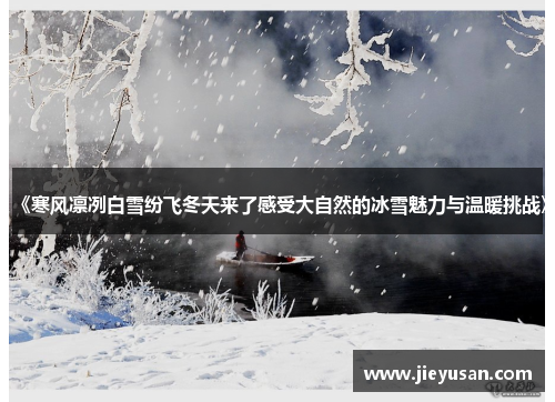 《寒风凛冽白雪纷飞冬天来了感受大自然的冰雪魅力与温暖挑战》